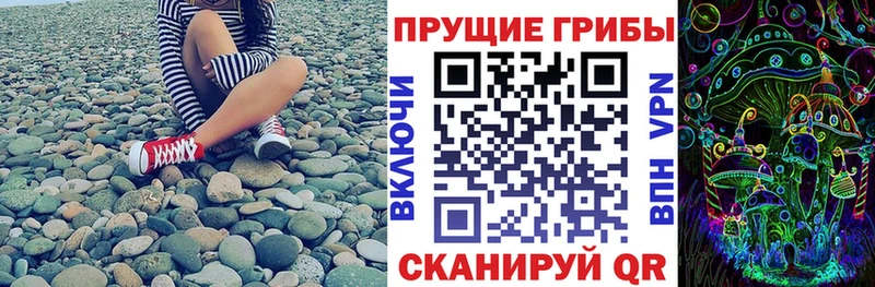 Галлюциногенные грибы ЛСД  где можно купить   Балабаново 